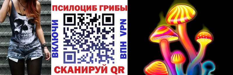 Галлюциногенные грибы Cubensis Волгодонск